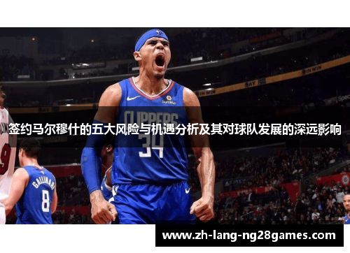 签约马尔穆什的五大风险与机遇分析及其对球队发展的深远影响