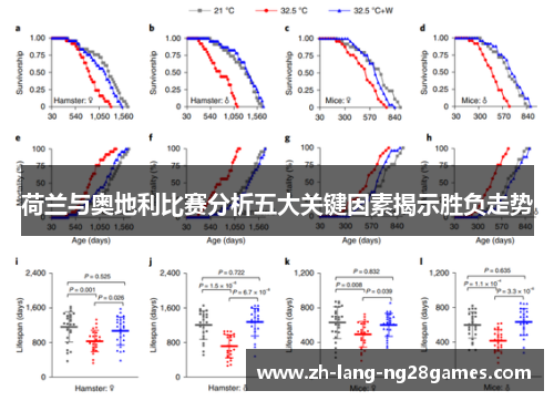 荷兰与奥地利比赛分析五大关键因素揭示胜负走势