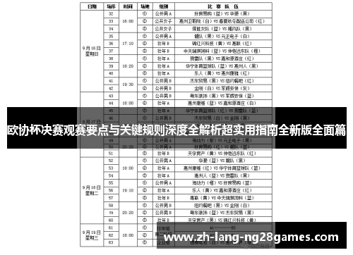 欧协杯决赛观赛要点与关键规则深度全解析超实用指南全新版全面篇