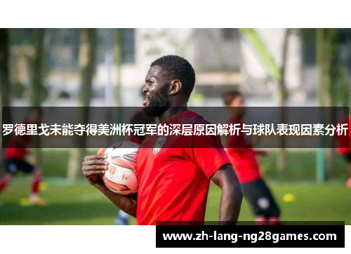 罗德里戈未能夺得美洲杯冠军的深层原因解析与球队表现因素分析